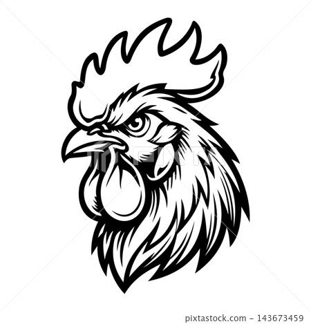 Aggressive Rooster Cock Fighting Bird Vector Illustration Aggressive Rooster Cock Fighting Bird Vector Illustration 143673459