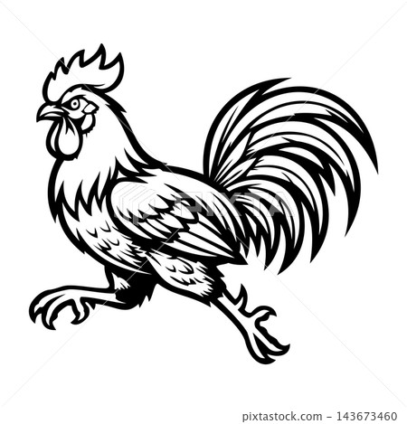 Aggressive Rooster Cock Fighting Bird Vector Illustration Aggressive Rooster Cock Fighting Bird Vector Illustration 143673460
