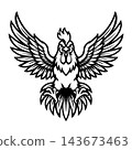 Aggressive Rooster Cock Fighting Bird Vector Illustration 143673463