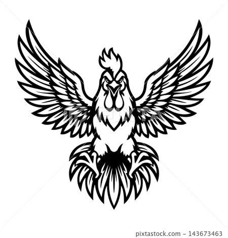 Aggressive Rooster Cock Fighting Bird Vector Illustration Aggressive Rooster Cock Fighting Bird Vector Illustration 143673463