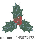 Colorful holly icon illustration / Christmas material with green leaves and red berries 143673472