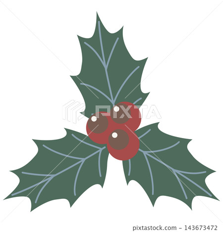 Colorful holly icon illustration / Christmas material with green leaves and red berries Colorful holly icon illustration / Christmas material with green leaves and red berries 143673472