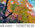 Eihoji Temple, ablaze with autumn colors 143673636