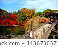 The grounds of Kokeizan Eihoji Temple are ablaze with autumn colors. 143673637