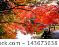 The temple grounds are ablaze with autumn colors. 143673638