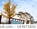 Shaolin Temple on Mount Song, a World Heritage Site, and Ginkgo Trees 143673642