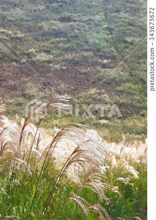 Susuki of the Senji plateau in autumn Susuki of the Senji plateau in autumn 143673672