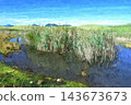 Japanese pampas grass in the blue sky and Soni plateau 143673673