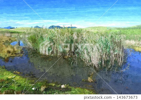 Japanese pampas grass in the blue sky and Soni plateau 143673673
