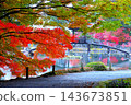 Musai Bridge over Garyu Pond and autumn leaves 143673851