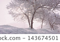 雪地裡挺立的樹木 143674501