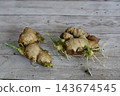 Ginger rhizomes sprouting green shoots and roots on wooden background, showing early growth stages 143674545