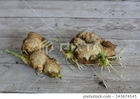 Ginger rhizomes sprouting green shoots and roots on wooden background, showing early growth stages Ginger rhizomes sprouting green shoots and roots on wooden background, showing early growth stages 143674545