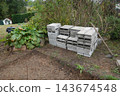 Cinder blocks piled on bare earth, ready for constructing a raised garden bed for vegetables, alongside a rhubarb plant 143674548