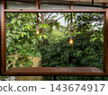 Wooden window frame with hanging bulbs overlooking lush river view 143674917