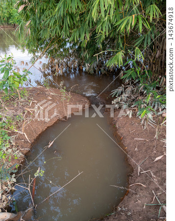 Small muddy water stream flowing into river under bamboo trees Small muddy water stream flowing into river under bamboo trees 143674918