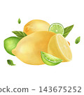 Juicy composition of citrus and watercolor fruits. Lemon, lime, fruit slices and mint leaves. Watercolor illustration on a white background. For textiles, tableware, and printing. 143675252