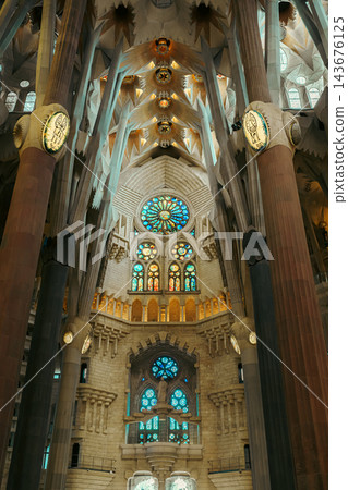 Stained glass rose window and branching columns at the end of the Sagrada Familia nave Stained glass rose window and branching columns at the end of the Sagrada Familia nave 143676125
