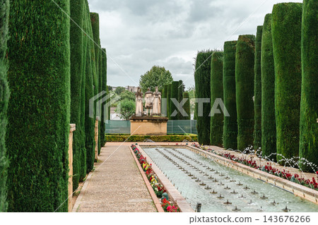 Avenue of tall clipped cypress trees beside a long fountain pool in the Alcazar of Cordoba gardens Avenue of tall clipped cypress trees beside a long fountain pool in the Alcazar of Cordoba gardens 143676266
