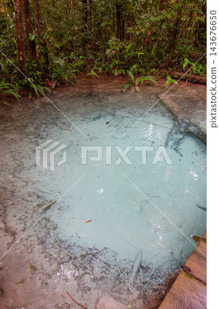 bubbling spring forms a pool of crystal-clear water in Amazon rainforest. Presidente Figueiredo, Amazonas, Brazil bubbling spring forms a pool of crystal-clear water in Amazon rainforest. Presidente Figueiredo, Amazonas, Brazil 143676650