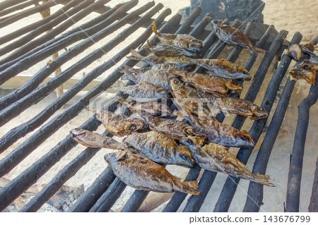 Piranha fish, Pygocentrus nattereri, roasted and smoked over wooden stakes Piranha fish, Pygocentrus nattereri, roasted and smoked over wooden stakes 143676799