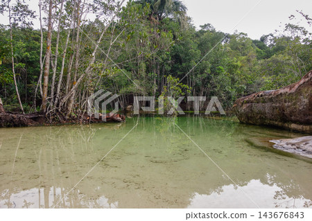 lake with crystal clear waters inside untouched amazon rainforest, Brazil lake with crystal clear waters inside untouched amazon rainforest, Brazil 143676843