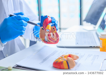 Cardiologist holding an anatomical human heart model during patient consultation Cardiologist holding an anatomical human heart model during patient consultation 143677002