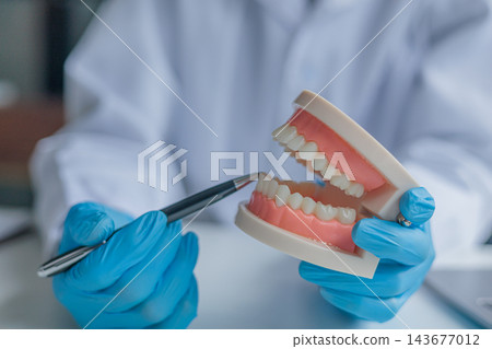 A dentist explains the process using a physical denture model to show patients how the treatment is planned A dentist explains the process using a physical denture model to show patients how the treatment is planned 143677012