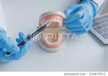 A dentist explains the process using a physical denture model to show patients how the treatment is planned A dentist explains the process using a physical denture model to show patients how the treatment is planned 143677013