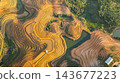 Aerial view of A Water, Rice, and Life at Tad Ma Waterfall, Laos 143677223