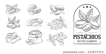 Hand-Drawn Black and White Pistachio Nuts with Leaves Vector Set, Botanical Food Illustration, Logo, Badge, Label and Packaging Design Elements Hand-Drawn Black and White Pistachio Nuts with Leaves Vector Set, Botanical Food Illustration, Logo, Badge, Label and Packaging Design Elements 143677414