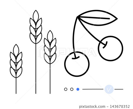 Agriculture, organic food, crop selection, sustainability, healthy living, natural products. Line drawing of wheat stalks and cherries with interface icons. Agriculture and organic food concept Agriculture, organic food, crop selection, sustainability, healthy living, natural products. Line drawing of wheat stalks and cherries with interface icons. Agriculture and organic food concept 143678352