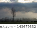 A foggy morning landscape in autumn 143679332