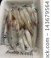 新鮮捕獲的劍尖魷魚（日本飛魷魚） 143679564