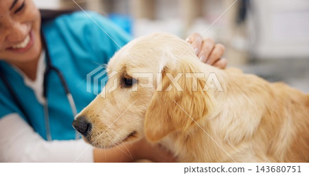 Happy, girl or dog with doctor in vet consultation room for growth, check or neutering appointment. Animal shelter, charity or volunteer with golden retriever puppy exam, assessment or inspection Happy, girl or dog with doctor in vet consultation room for growth, check or neutering appointment. Animal shelter, charity or volunteer with golden retriever puppy exam, assessment or inspection 143680751