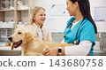 Woman, vet and dog at clinic with child, consulting and stroke for health, development and growth with wellness. People, doctor and golden retriever pet with smile, talk and exam at animal hospital 143680758