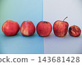 Five red apples in row showing stages from fresh to wrinkled and spoiled, blue gray background, copy space. Concept of aging, passage of time, food waste, shelf life, decay, life cycle 143681428