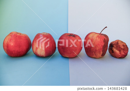 Five red apples in row showing stages from fresh to wrinkled and spoiled, blue gray background, copy space. Concept of aging, passage of time, food waste, shelf life, decay, life cycle Five red apples in row showing stages from fresh to wrinkled and spoiled, blue gray background, copy space. Concept of aging, passage of time, food waste, shelf life, decay, life cycle 143681428