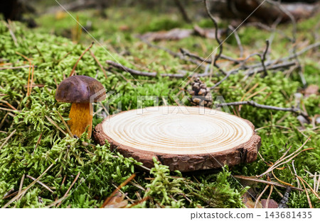 Round wood slice podium on moss beside bolete mushroom and pine cone, empty surface for product display. Concept of natural cosmetics, mushroom supplements, organic food, eco packaging Round wood slice podium on moss beside bolete mushroom and pine cone, empty surface for product display. Concept of natural cosmetics, mushroom supplements, organic food, eco packaging 143681435