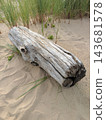Old tree trunk washed ashore on a sandy Baltic Sea beach. Driftwood on the shore. 143681578