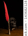 Human skull for Halloween, an image of a human skull in a macabre setting with an antique fountain pen featuring a red feather, selective focus. 143682128