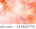 abstract orange roses flower bouquet on blur gradient orange and pink background, object, decor, card, template, copy space 143682755