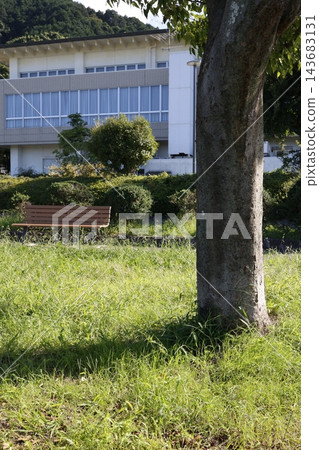 廣場綠草地上孤零零地立著一棵樹。它的影子向左下方延伸。 廣場綠草地上孤零零地立著一棵樹。它的影子向左下方延伸。 143683131
