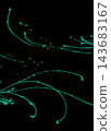 Neon green paint erupting in curve wave. Fluorescent green liquid water explosion vine over Black background isolated. Bright paint eruption explode sticky spike, Photograph 143683167