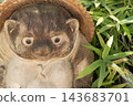 A close-up of a large raccoon dog figurine with a gentle expression. 143683701