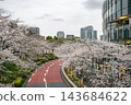 Pedestrian bridge lined with cherry blossom trees 143684622