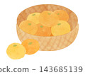 Oranges in a basket (watercolor style) 143685139
