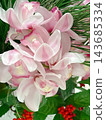 美麗的花：蕙蘭 143685334