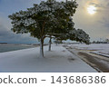 A winter walking trail through snow-covered trees and along the coast. 143686386