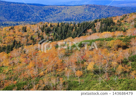 Asahidake秋天風景 Asahidake秋天風景 143686479